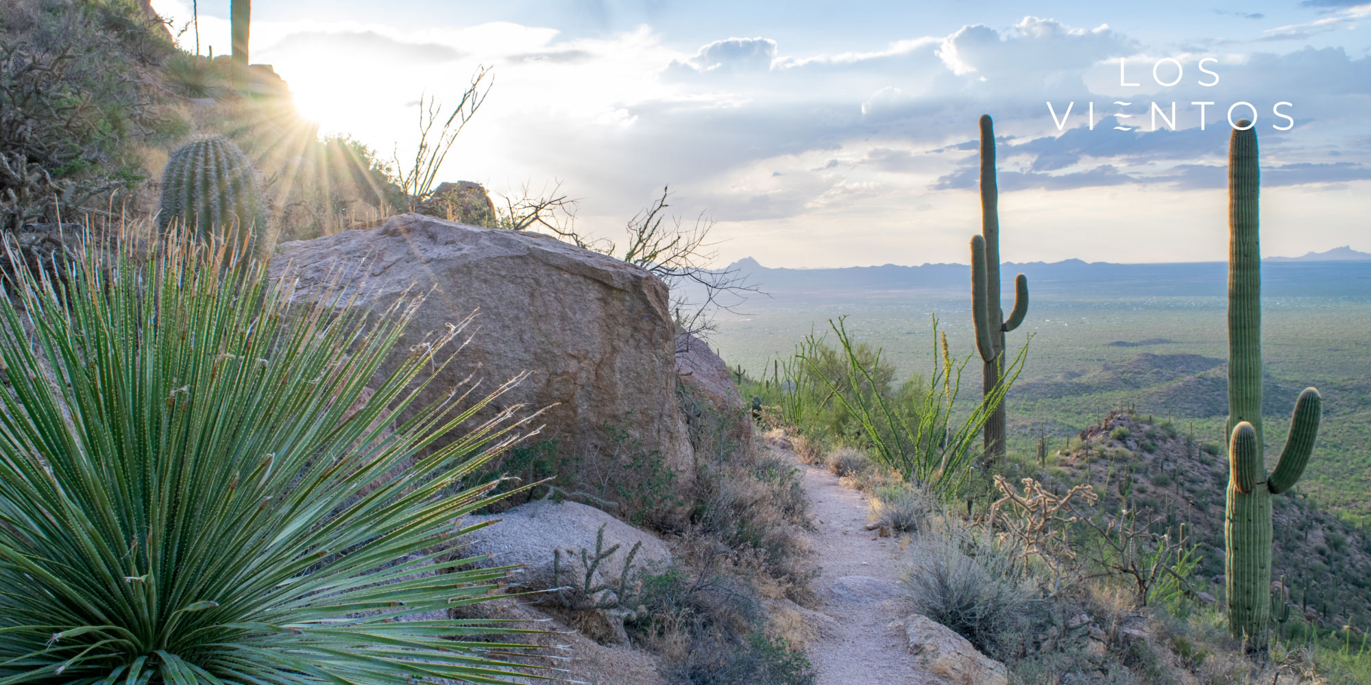 Desert View of the Los Vientos Community