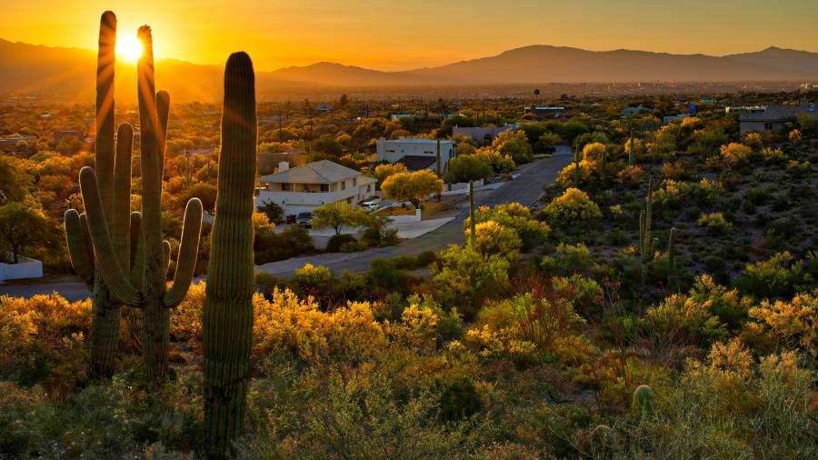 Tucson national