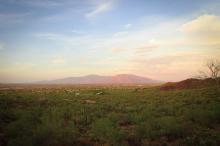 Arizona desert landscape