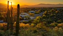 Tucson national