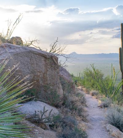 Desert View of the Los Vientos Community