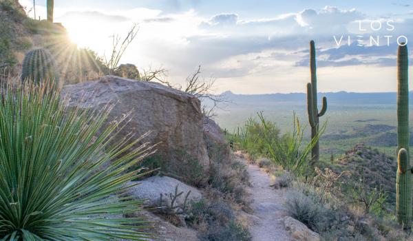 Desert View of the Los Vientos Community